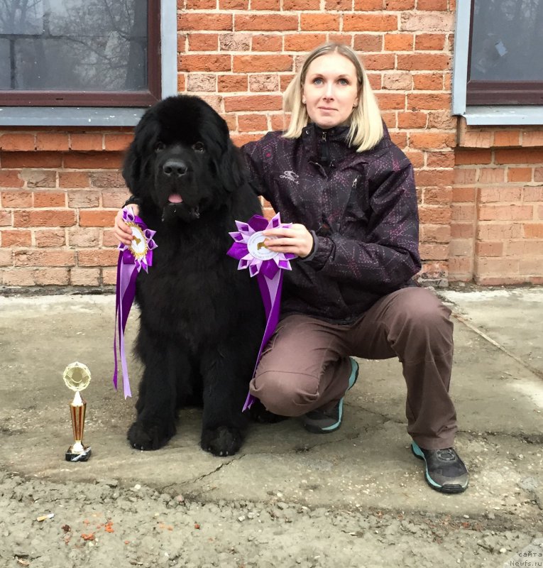 Фотография № 196445