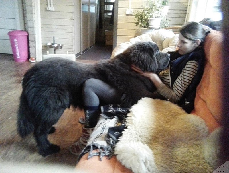 Фотография № 196480