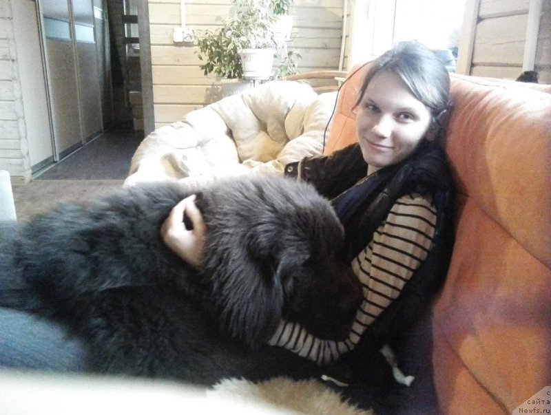 Фотография № 196481