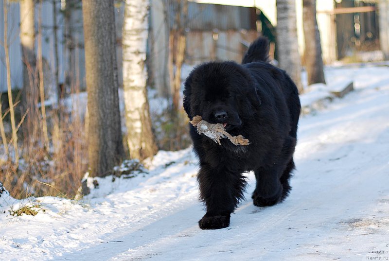 Фотография № 196551