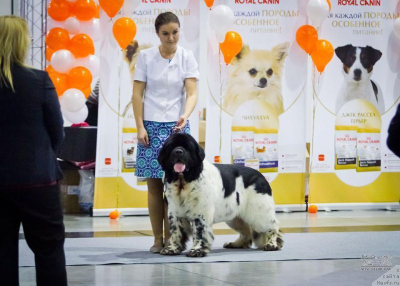 Фотография № 196569