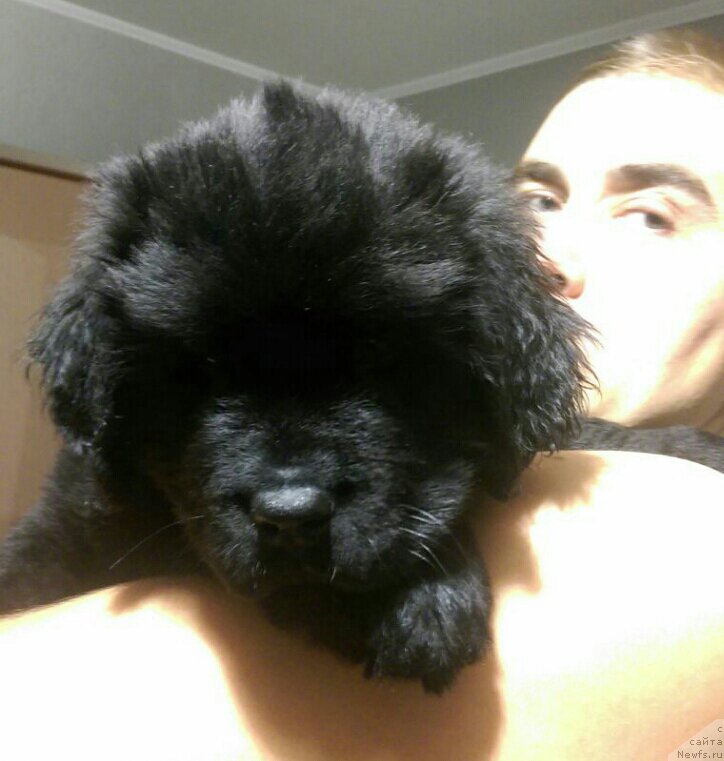 Фотография № 196595