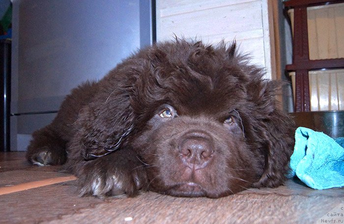 Фотография № 196601