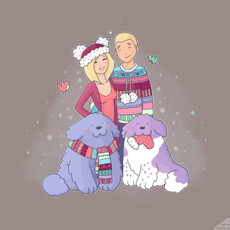 Фотография № 196607