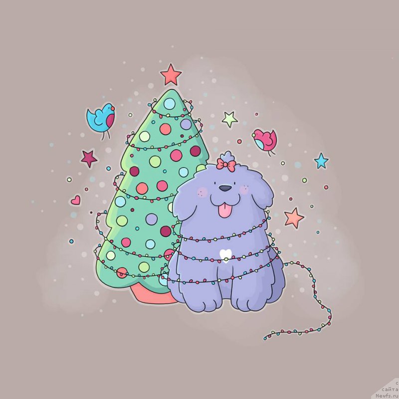 Фотография № 196615