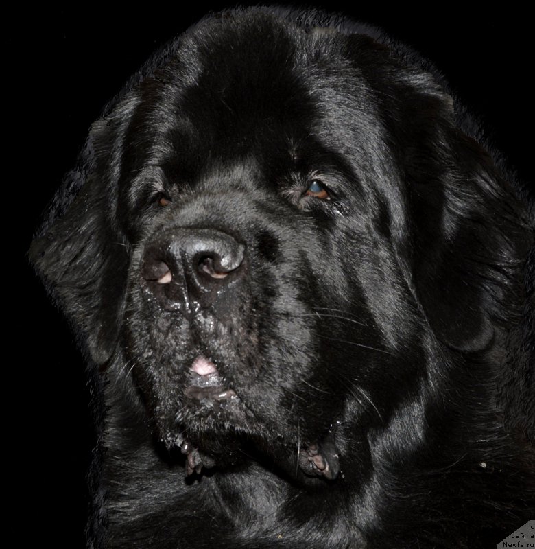 Фотография № 196623