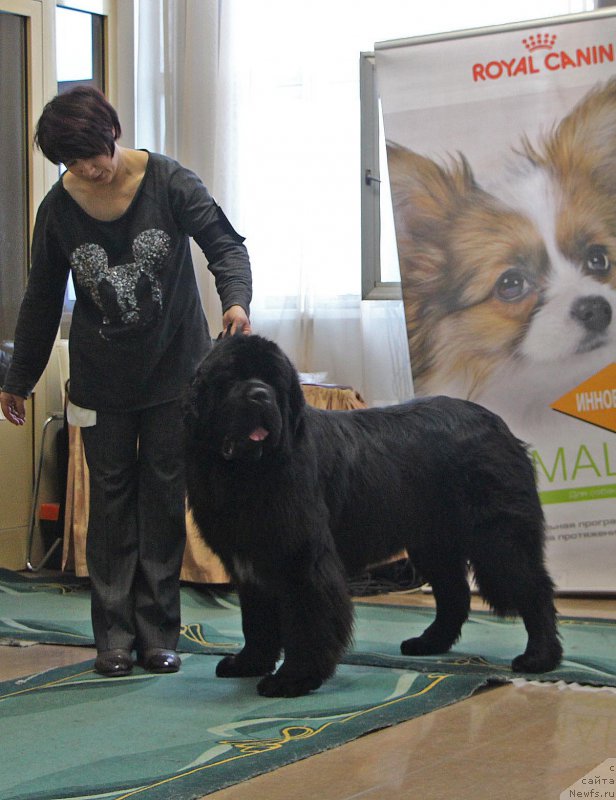 Фотография № 196625