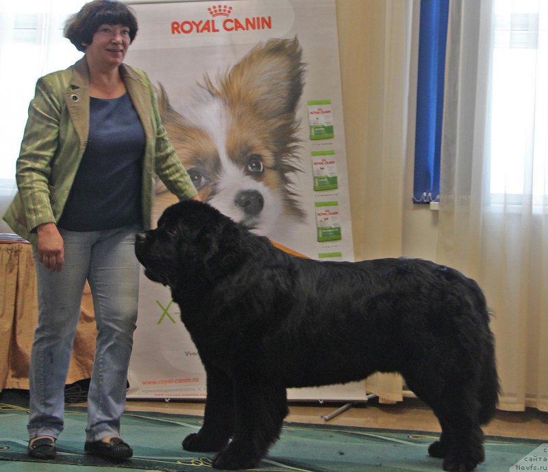 Фотография № 196631