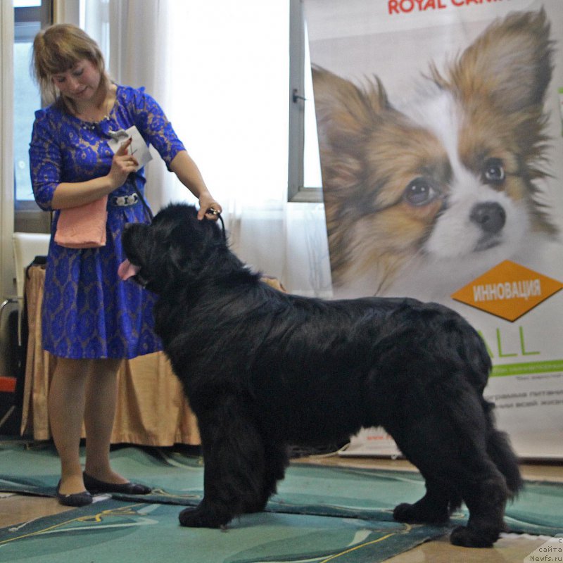 Фотография № 196633