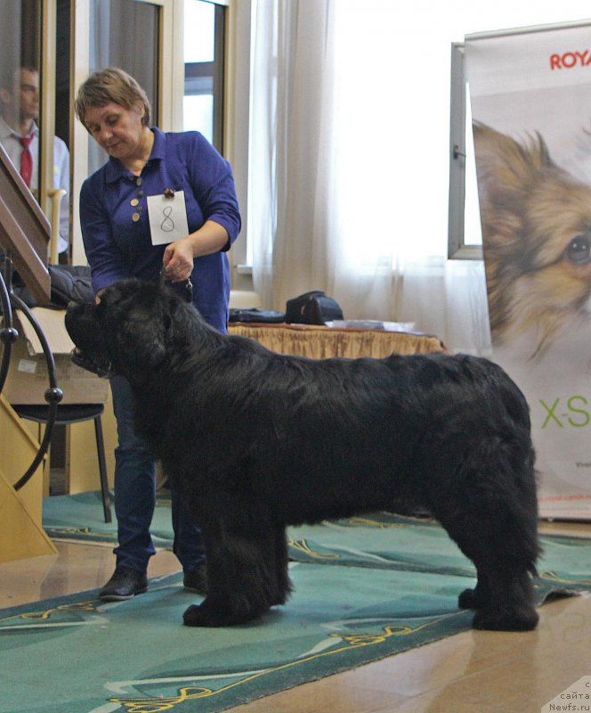 Фотография № 196634