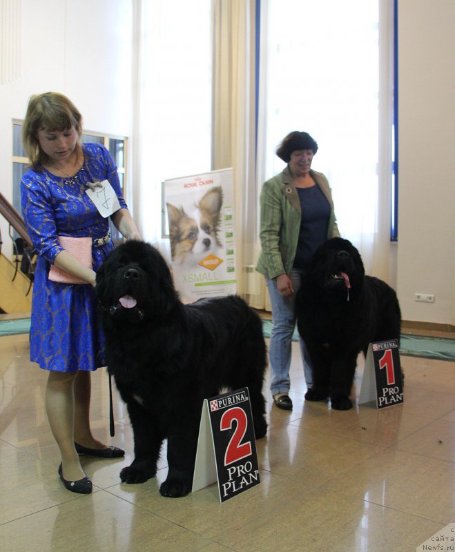 Фотография № 196636