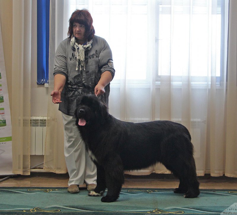 Фотография № 196637