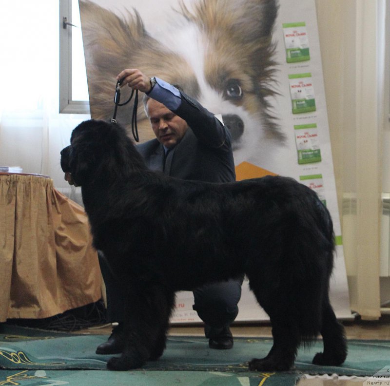 Фотография № 196638