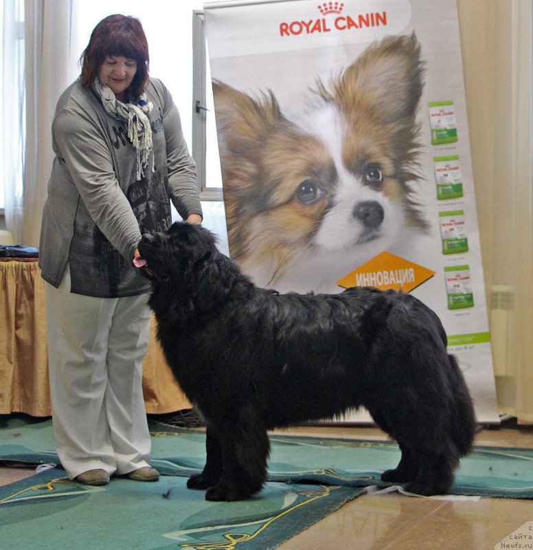 Фотография № 196641