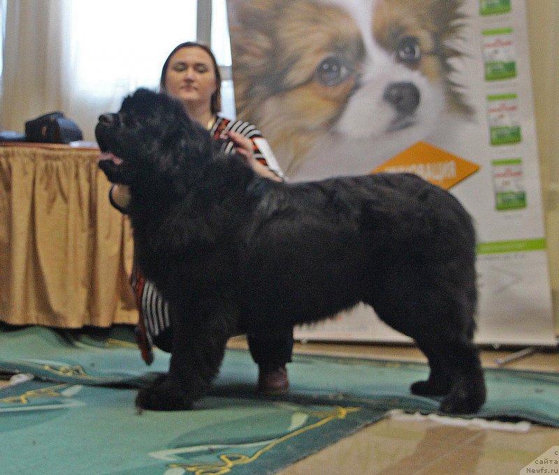 Фотография № 196642