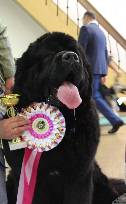 Фотография № 196643