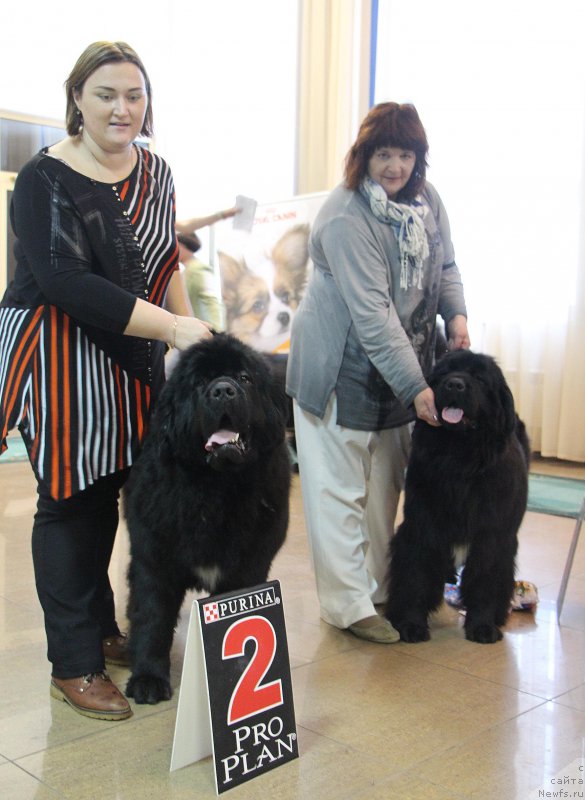 Фотография № 196644