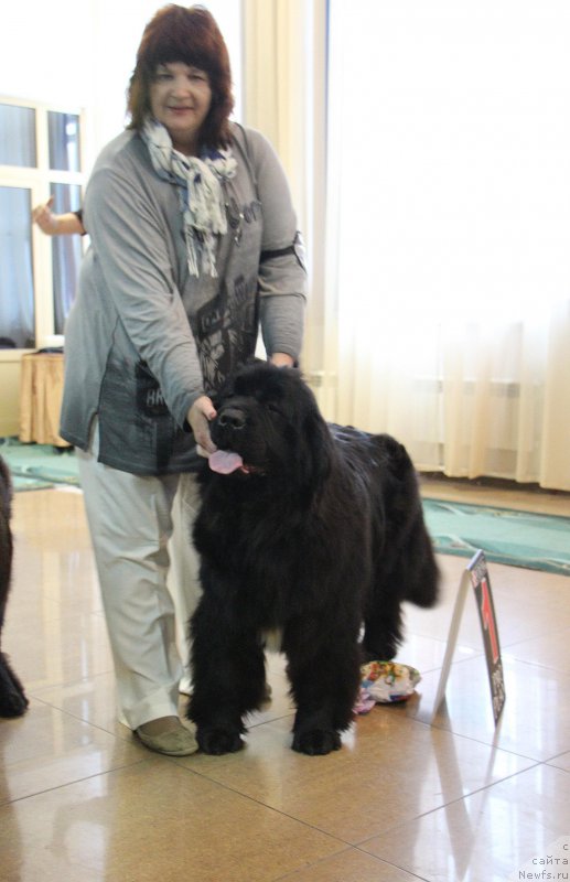 Фотография № 196647