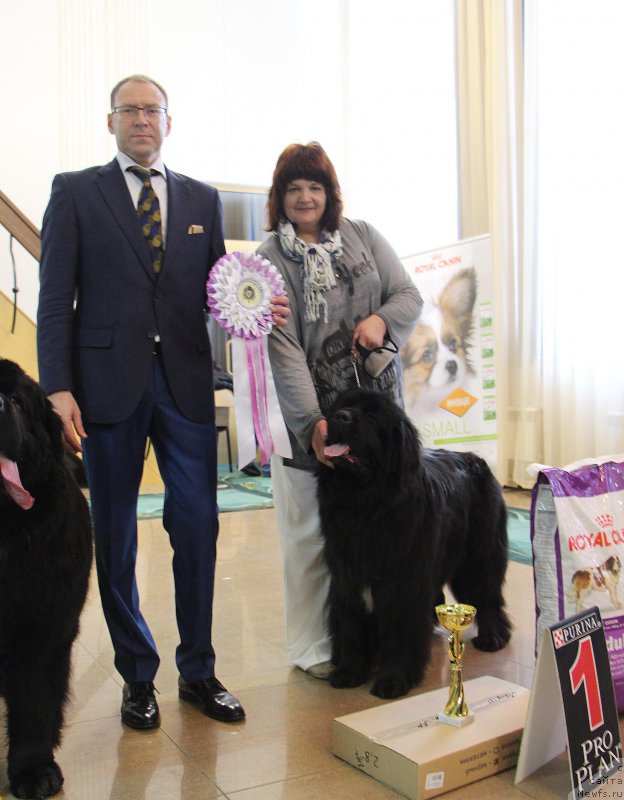 Фотография № 196648