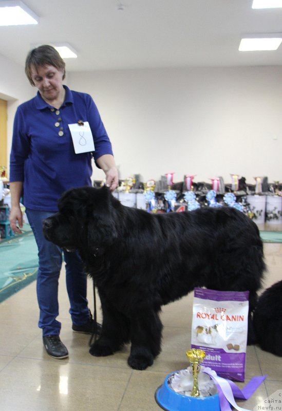 Фотография № 196650