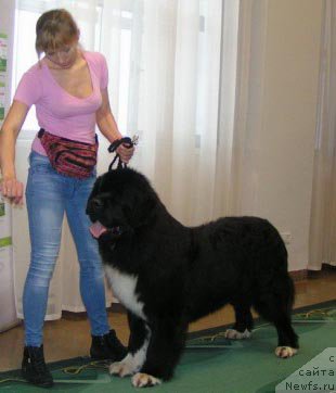 Фотография № 196656