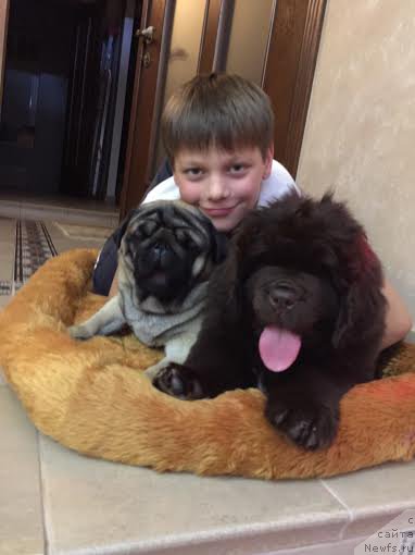 Фотография № 196665