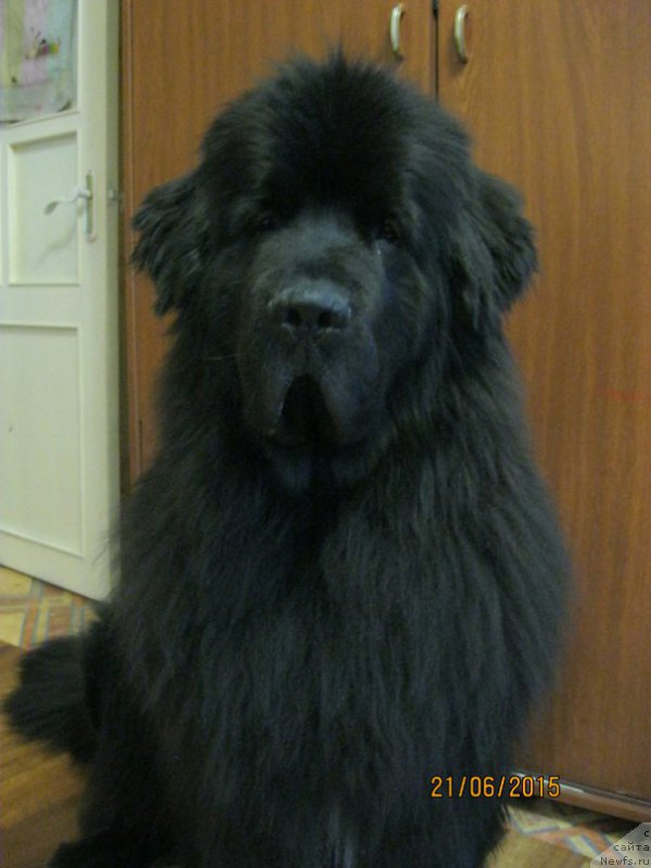 Фотография № 196669