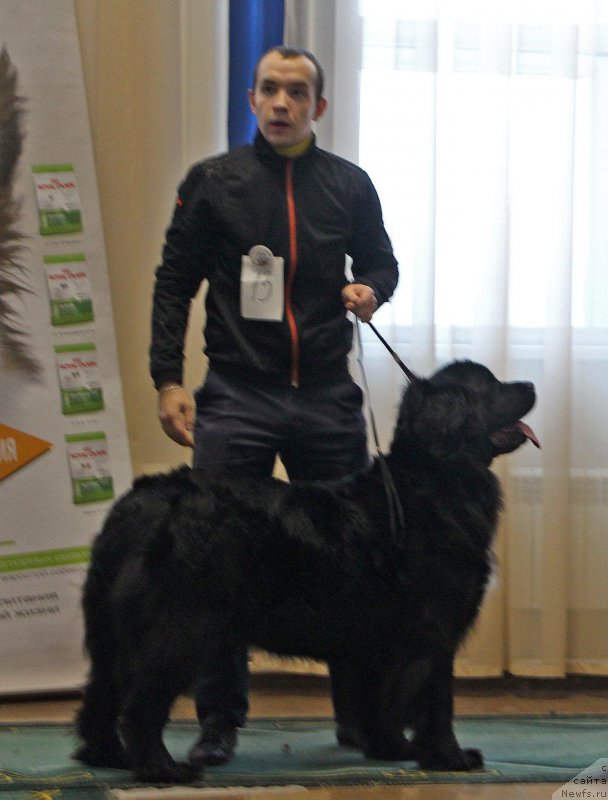 Фотография № 196673