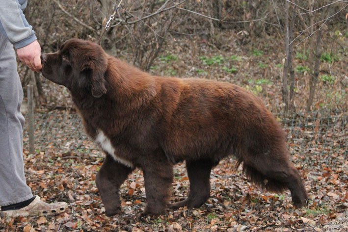 Фотография № 196677