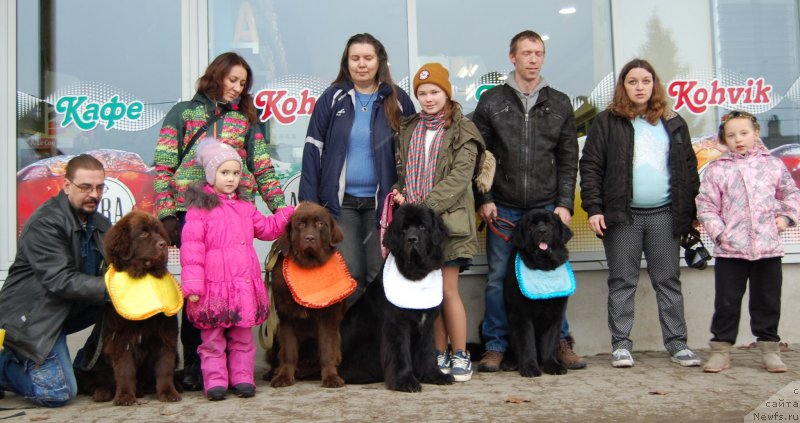 Фото: ньюфаундленд Mercedes Vialiki Miadzvedz (Мерседес Вялiкi Мядзведзь), ньюфаундленд Brownblood MSK Harricane Higgins (Браунблад МСК Харрикейн Хиггенс), ньюфаундленд Brownblood MSK Hrica Hacket Ollen (Браунблад МСК Хриса Хаккет Оллен), Tiya Tyinisson (Тийа Тыниссон), ньюфаундленд Brownblood MSK Zhani Osher (Браунблад МСК Жани Ошер), Mariya SHmeleva (Мария Шмелева), Elena YAkovleva (Елена Яковлева), Elena Spiryukova (Елена Спирюкова)