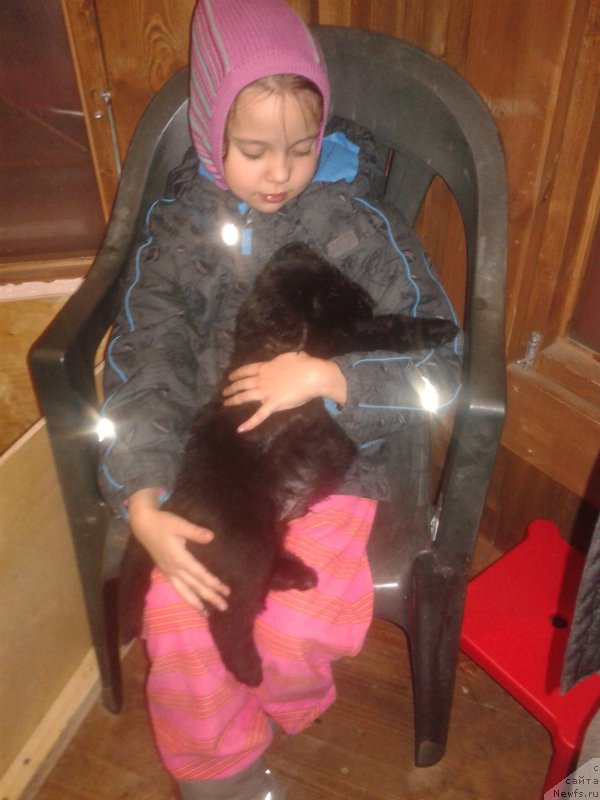 Фото: дети, ньюфаундленд Kalina Krasnaya iz Antagrada (Калина Красная из Антаграда)