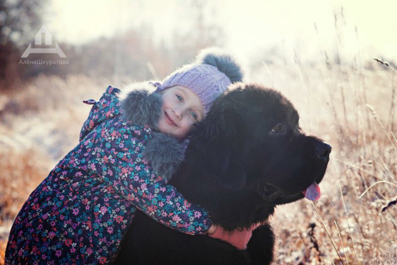 Фотография № 196724