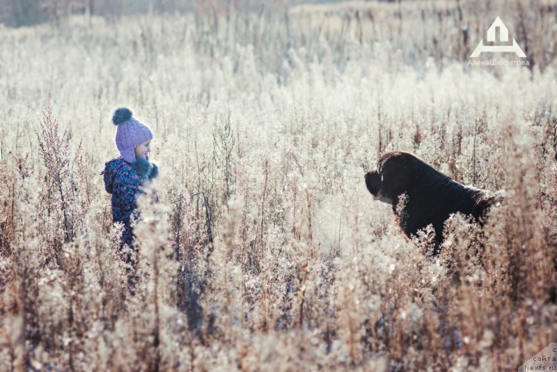 Фотография № 196725