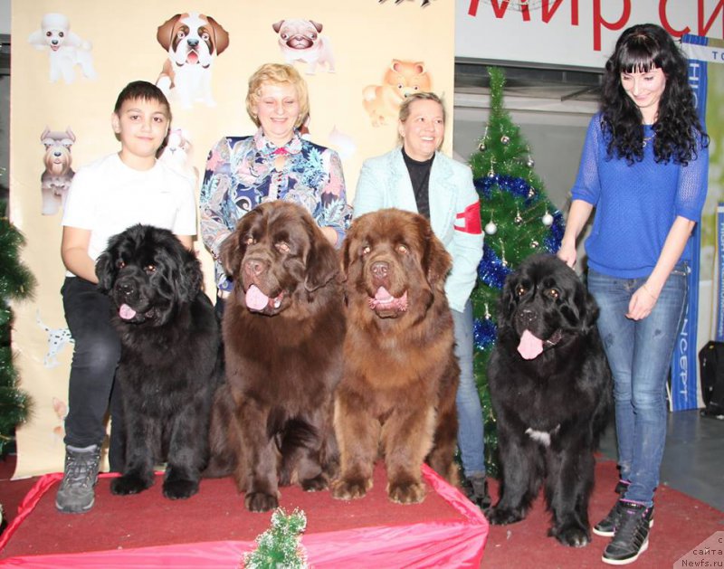 Фото: Lena Zyirina (Лена Зырина), ньюфаундленд Brownblood MSK Hakim Gold Haydar (Браунблад МСК Хаким Голд Хайдар), Svetlana Panchenko (Светлана Панченко), ньюфаундленд N'yufort Vashe Velichestvo Brabus (Ньюфорт Ваше Величество Брабус)