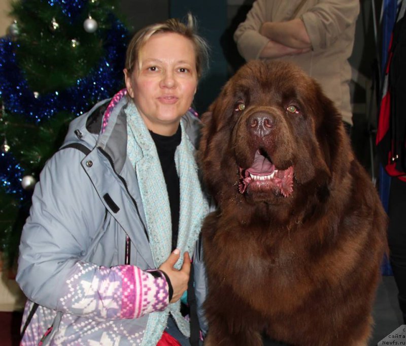 Фотография № 196729