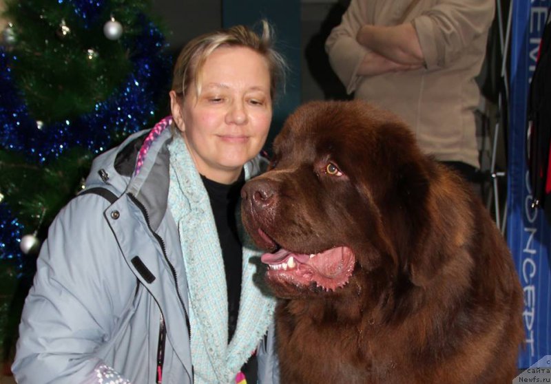 Фото: Lena Zyirina (Лена Зырина), ньюфаундленд Brownblood MSK Hakim Gold Haydar (Браунблад МСК Хаким Голд Хайдар)