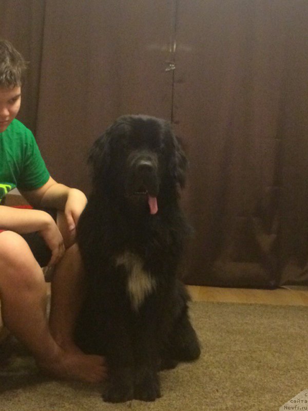 Фотография № 196733