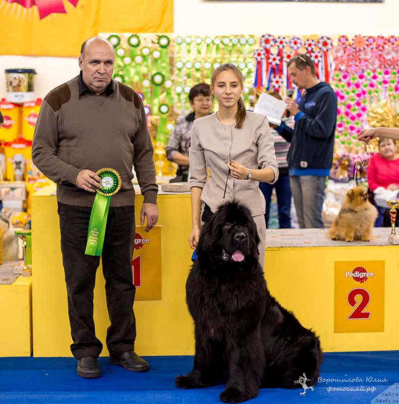 Фотография № 196747