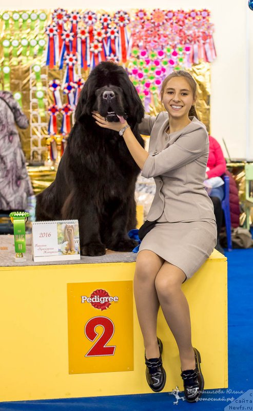 Фотография № 196757