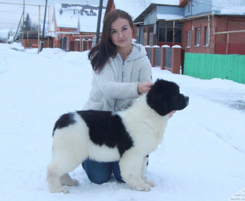 Фотография № 196760