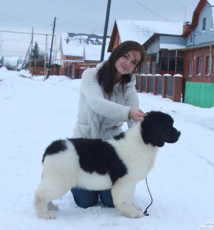 Фотография № 196761