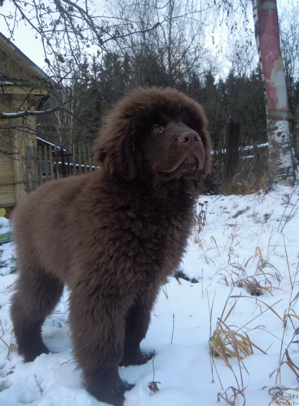 Фотография № 196765