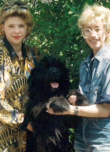 Фото: ньюфаундленд Tyetti Elbar (Тэтти Елбар)