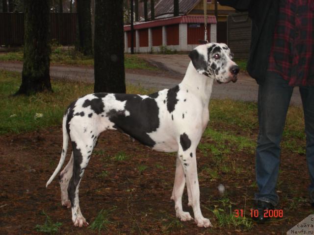 Фотография № 19680