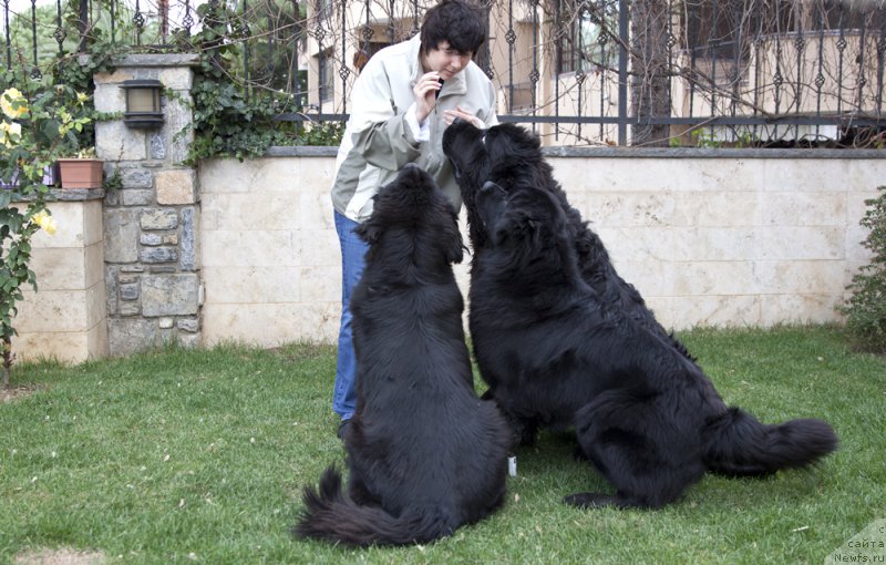 Фотография № 196810