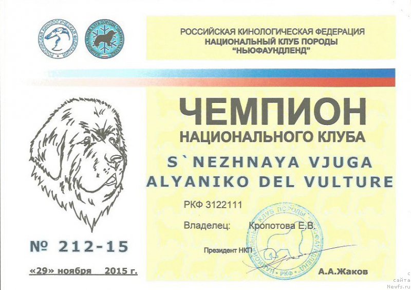 Фотография № 196816