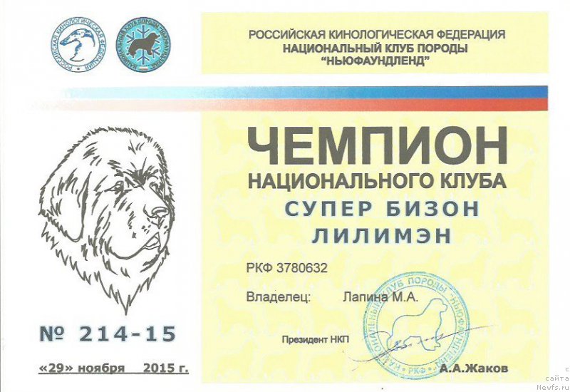 Фотография № 196817