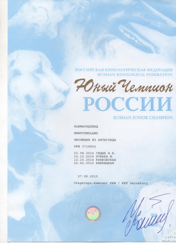 Фото: Natal'ya Verina (Наталья Верина)