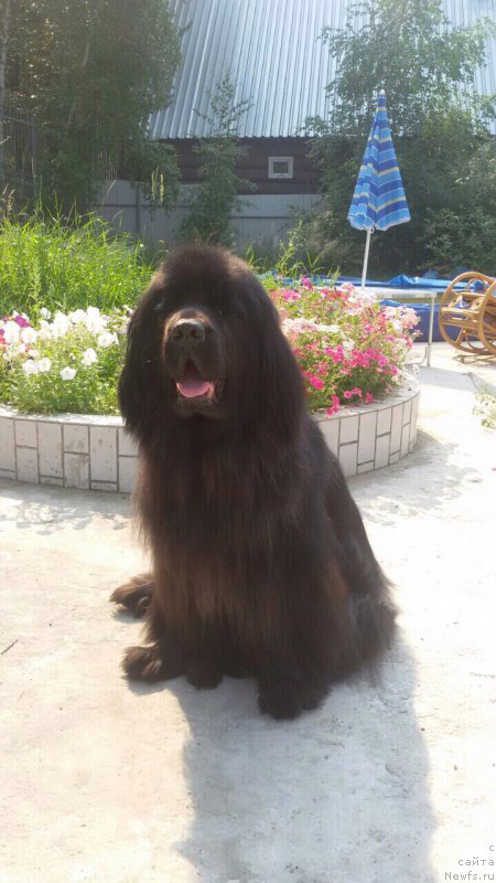 Фотография № 196827