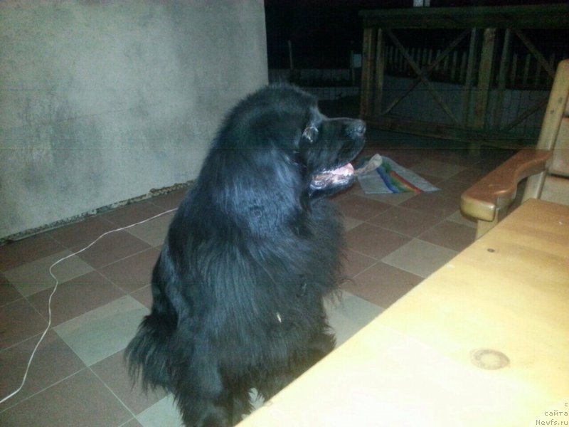 Фотография № 196829